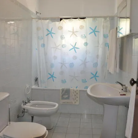 Modern In With Swimming Pool