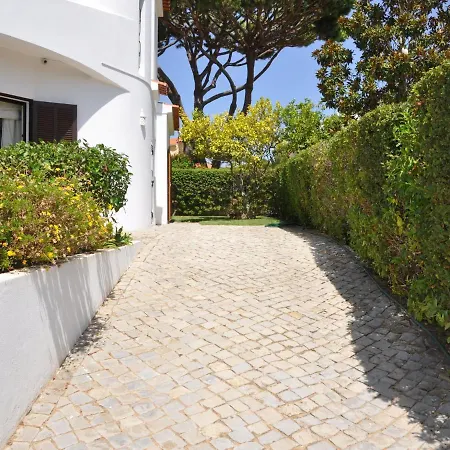 Modern In With Swimming Pool